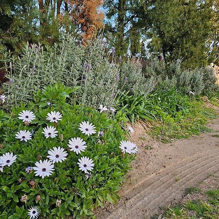 Gowrie Agapanthus Apartment Singleton Bagian luar foto