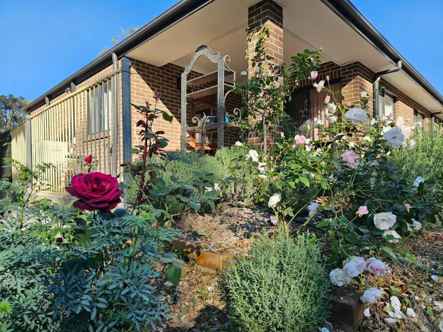 Gowrie Agapanthus Apartment Singleton Bagian luar foto
